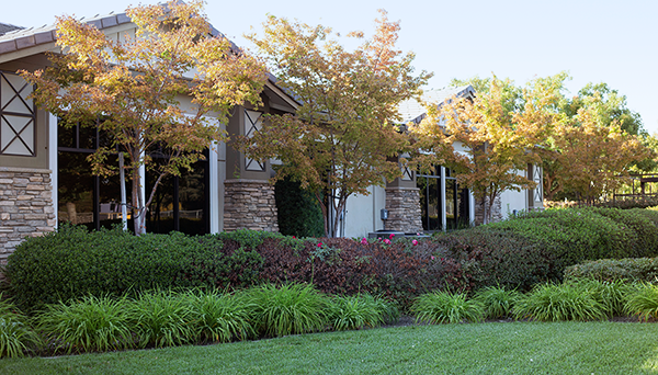 Ripon Plaza Dental   Escalon Family Dental  | Teeth Whitening, Veneers and Invisalign reg 