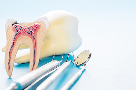 Ripon Plaza Dental   Escalon Family Dental